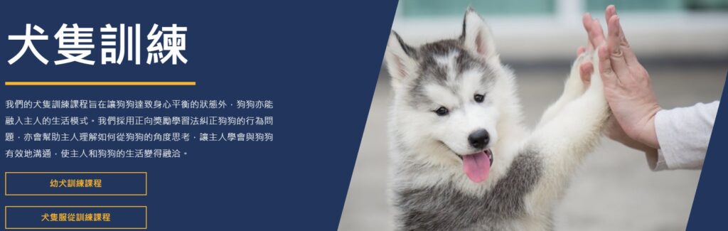 香港專業寵物保姆-幼犬訓練課程