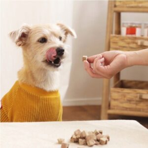 狗零食